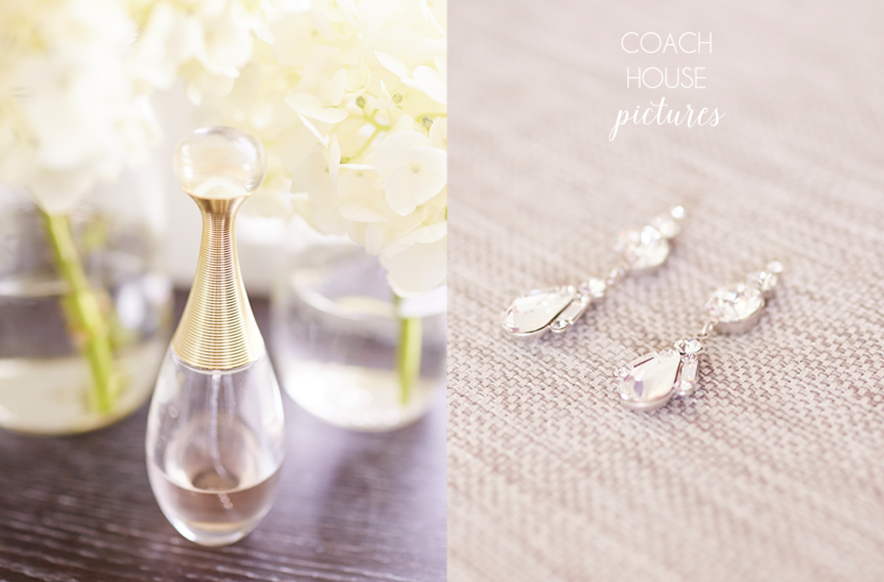 Coach House Pictures, Chicago Wedding Photographer