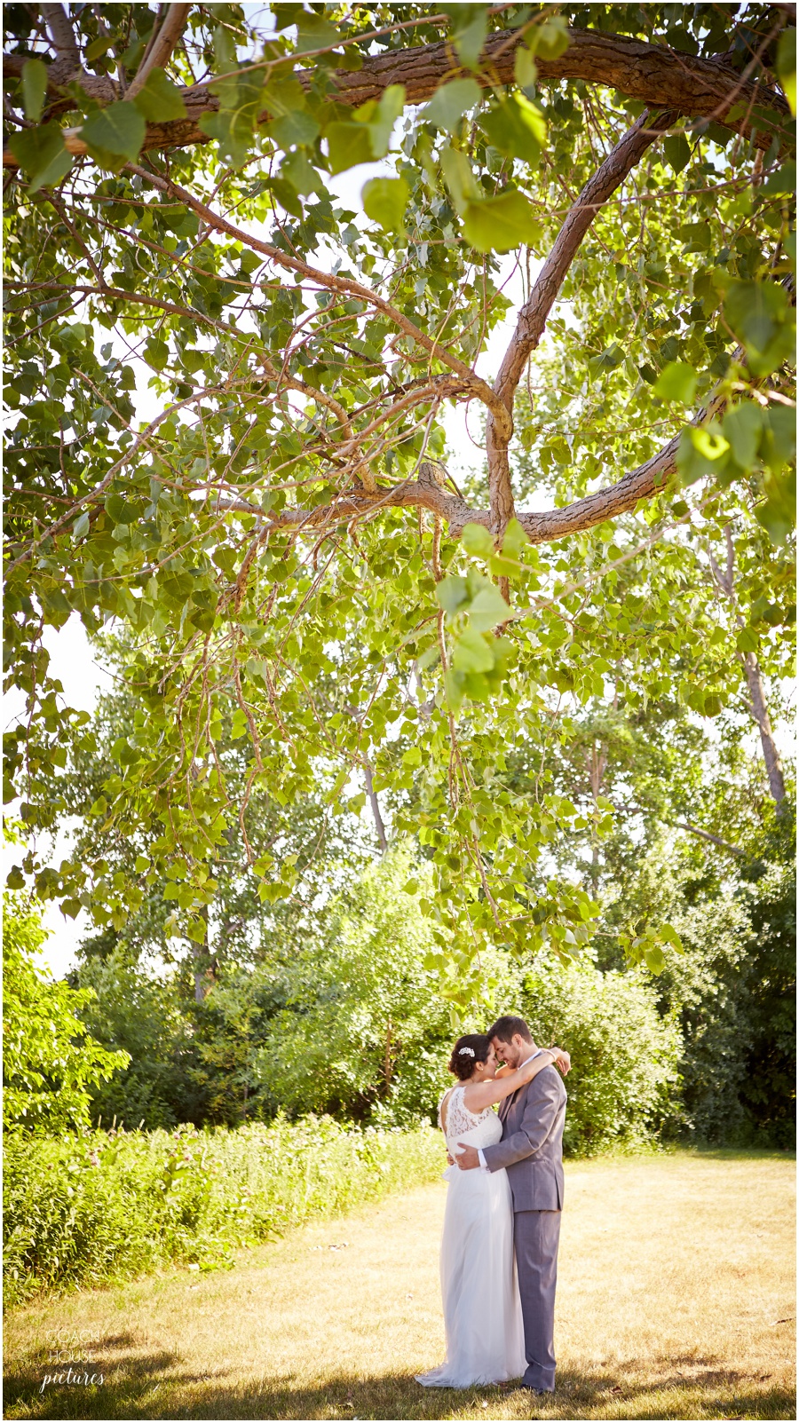 IL natural light wedding photographer